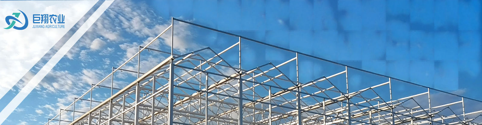 Invernadero de película de plástico de múltiples tramos