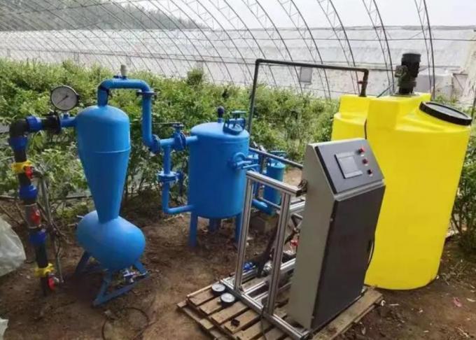 Juxiang′s Commercial Sunlight Greenhouse for Vegetable Farming