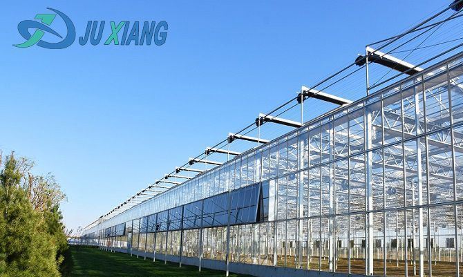 Juxiang′s Controlled Environment Greenhouse System