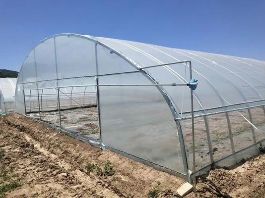 Sección H Diseño de invernaderos de estructura de acero personalizada para las necesidades del mercado estadounidense