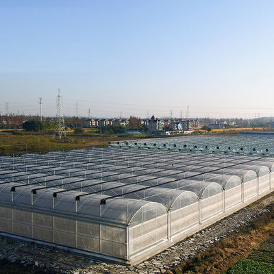Sistema de invernaderos hidropónicos de estructura de acero para una agricultura sostenible