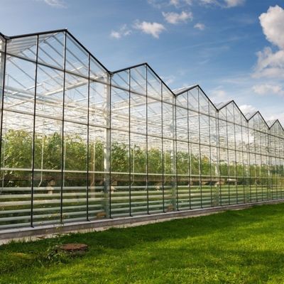 Invernadero de vidrio con sistema de cultivo hidropónico Promoción de invernaderos comerciales
