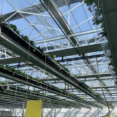 Invernadero comercial de techo de vidrio con sistema hidropónico con garantía de 30 días
