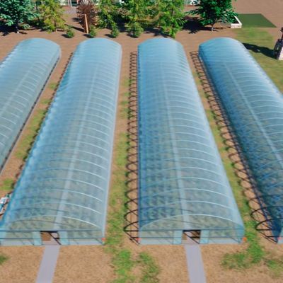 Sistema de cultivo hidropónico para la agricultura a gran escala en invernaderos grandes JX-A004