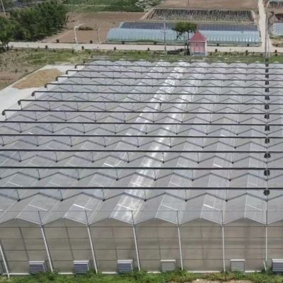 JX-A006 Invernadero de policarbonato de gran tamaño para uso comercial y agrícola