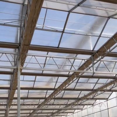 JX-A006 Invernadero de policarbonato de gran tamaño para uso comercial y agrícola