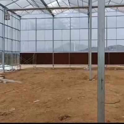 JX-A006 Invernadero de policarbonato de gran tamaño para uso comercial y agrícola