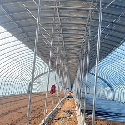 Invernadero comercial de película de túnel de sola extensión con garantía de devolución de 30 días