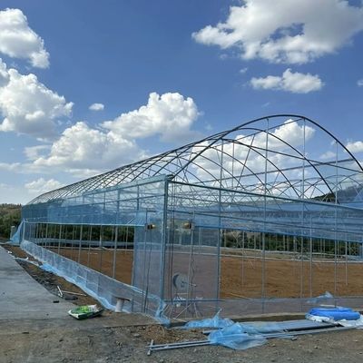 Invernadero agrícola de plástico tipo arco para tomate/camarón y fresas con sistema de cultivo hidropónico