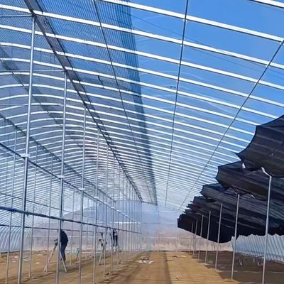 Gran invernadero de película de una sola capa para el cultivo durante todo el año