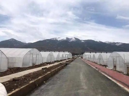 20.000kg Embalaje Peso bruto Capa de película Tubo de agua Solución de invernadero hidropónica
