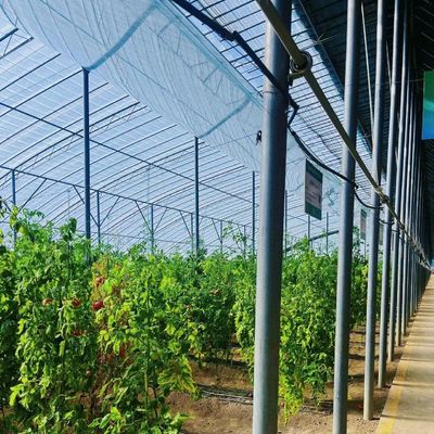 Solución de invernadero para la agricultura con película de plástico PE Tamaño 50.00cm * 60.00cm * 50.00cm