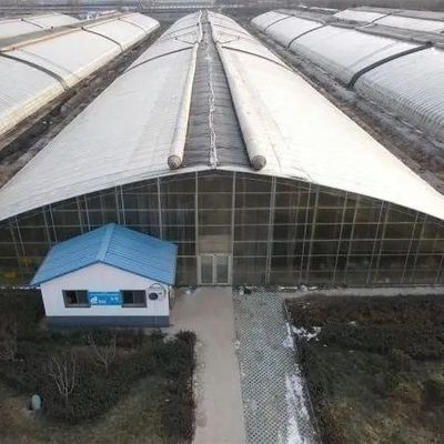 Solución de invernadero para la agricultura con película de plástico PE Tamaño 50.00cm * 60.00cm * 50.00cm