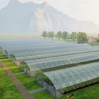 JX-A0078 Invernaderos solares de película grande Estructura de acero Invernadero de túnel de tramo único