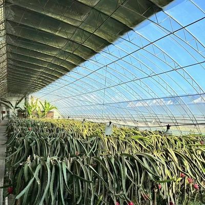Origen Sistema de invernadero ecológico con material de película de cubierta 20.000 kg Peso bruto del paquete