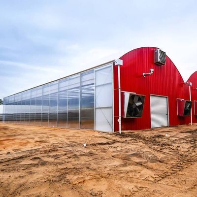 Origen Sistema de invernadero ecológico con material de película de cubierta 20.000 kg Peso bruto del paquete