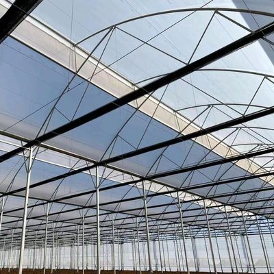 Origen Sistema de invernadero ecológico con material de película de cubierta 20.000 kg Peso bruto del paquete