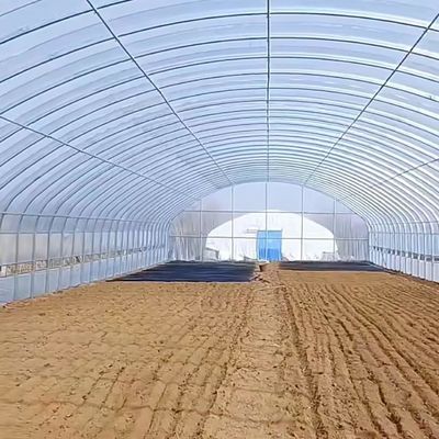 Polytunnel Túnel de plástico Invernadero agrícola de sola envergadura para solicitud personalizada