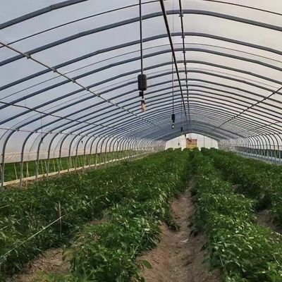 Polytunnel Túnel de plástico Invernadero agrícola de sola envergadura para solicitud personalizada