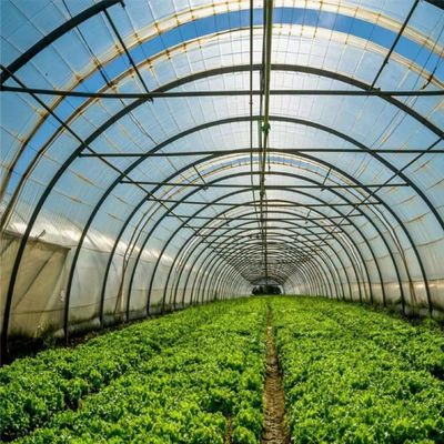Polytunnel Túnel de plástico Invernadero agrícola de sola envergadura para solicitud personalizada