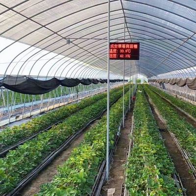 Polytunnel Túnel de plástico Invernadero agrícola de sola envergadura para solicitud personalizada