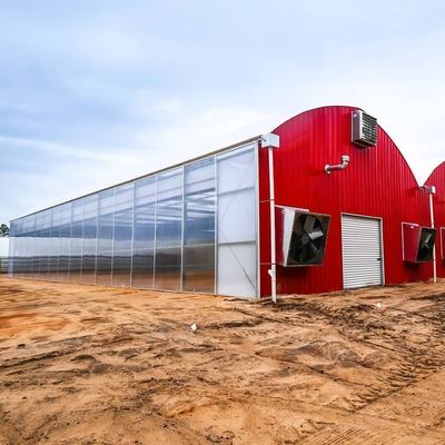 Sistema ecológico de invernadero de riego por goteo Sobre el costo de envío y el tiempo de entrega estimado