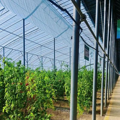 Sistema ecológico de invernadero de riego por goteo Sobre el costo de envío y el tiempo de entrega estimado