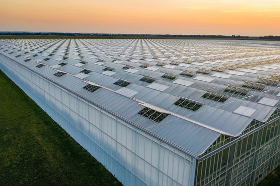 Costo de envío Film de túnel de plástico multiespan agrícola Personalización de invernaderos