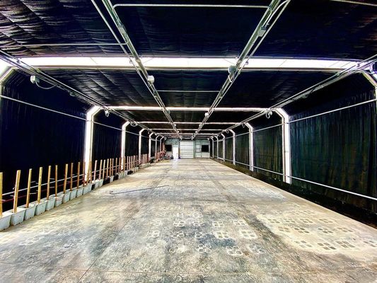 Costo de envío Film de túnel de plástico multiespan agrícola Personalización de invernaderos