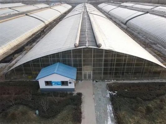 Tecnología de doble capa de película de plástico agrícola Hidropónica invernaderos para acuicultura