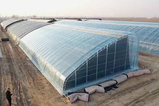 Tecnología de doble capa de película de plástico agrícola Hidropónica invernaderos para acuicultura