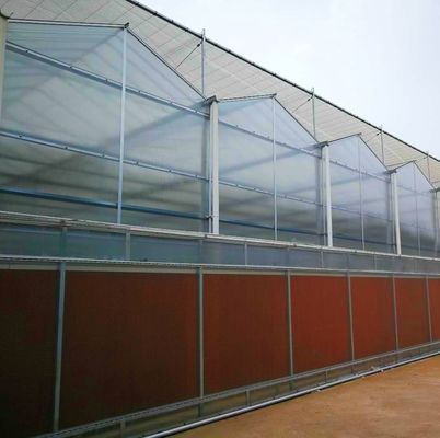 Invernaderos multispans con tecnología y materiales hidropónicos
