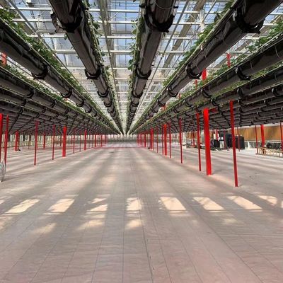 Invernaderos multispans con tecnología y materiales hidropónicos
