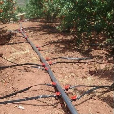 Invernaderos multispans con tecnología y materiales hidropónicos