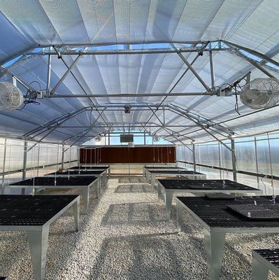 Invernaderos multispans con tecnología y materiales hidropónicos