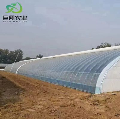 20GP 40GP 40HC Materiales de construcción de acero y plástico Invernadero para plantas/hongos medicinales