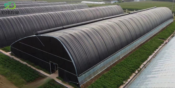 20.000kg de paquete Peso bruto de tomate de varias extensiones Pepinillo de fresa Invernadero de cultivo