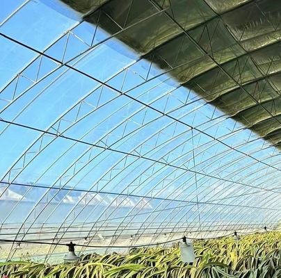 Invernadero con calefacción en chapa de plástico para el cultivo de semillas y plantas medicinales/hongos