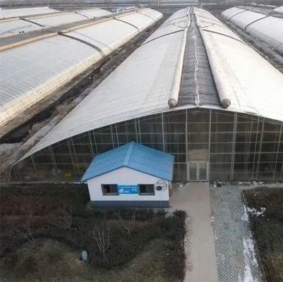 Invernadero con calefacción en chapa de plástico para el cultivo de semillas y plantas medicinales/hongos
