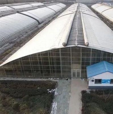 Invernadero de túnel de doble arco cubierto con película o policarbonato PC