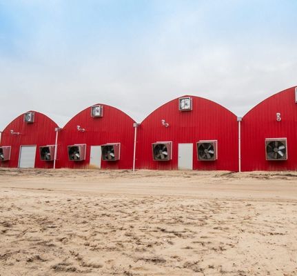 Invernaderos de película de plástico con sistema hidropónico