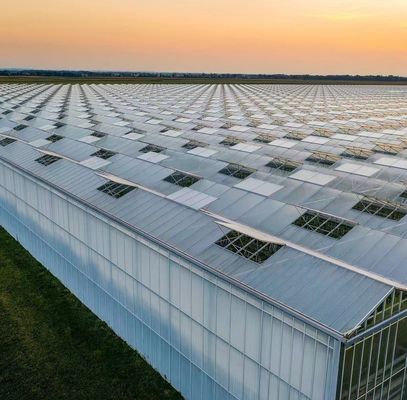 Transforme su experiencia agrícola con el sistema de hidroponía de tomate, pepino y fresa