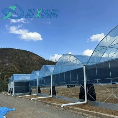 Transforme su experiencia agrícola con el sistema de hidroponía de tomate, pepino y fresa