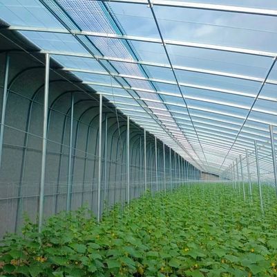 Transforme su experiencia agrícola con el sistema de hidroponía de tomate, pepino y fresa