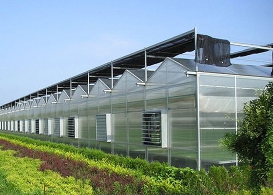 Invernadero de vidrio Venlo de varias franjas con sistema hidropónico Cocopeat y personalización