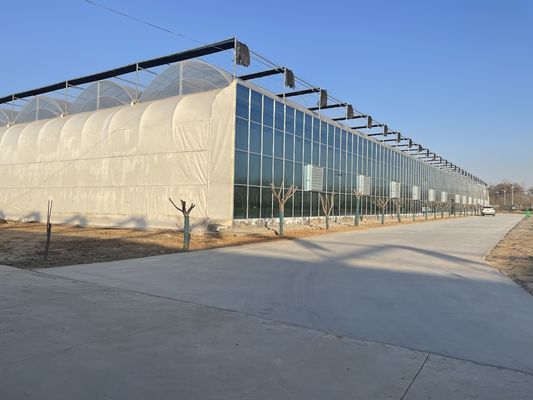 Invernadero de vidrio Venlo de varias franjas con sistema hidropónico Cocopeat y personalización