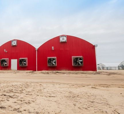 Invernadero de hongos para la producción y el cultivo de hongos a gran escala