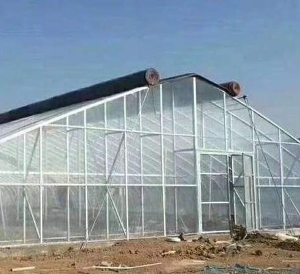 Invernadero de hongos para la producción y el cultivo de hongos a gran escala