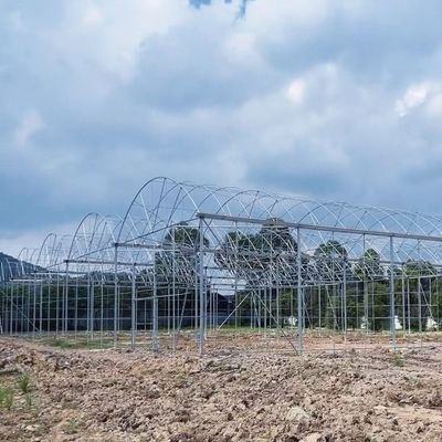 Sistema de cultivo hidropónico de tuberías de agua de múltiples tramos para la eficiencia de la acuicultura en invernadero