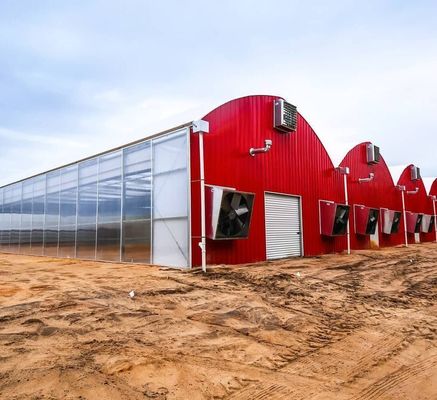Sistema de cultivo hidropónico de tuberías de agua de múltiples tramos para la eficiencia de la acuicultura en invernadero
